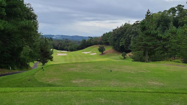 BLUE RESORT Landmark Golf Club - Photo 5