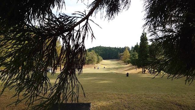 BLUE RESORT Landmark Golf Club - Photo 4