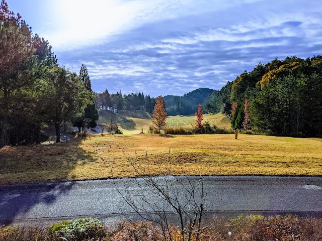 BLUE RESORT Landmark Golf Club - Photo 10