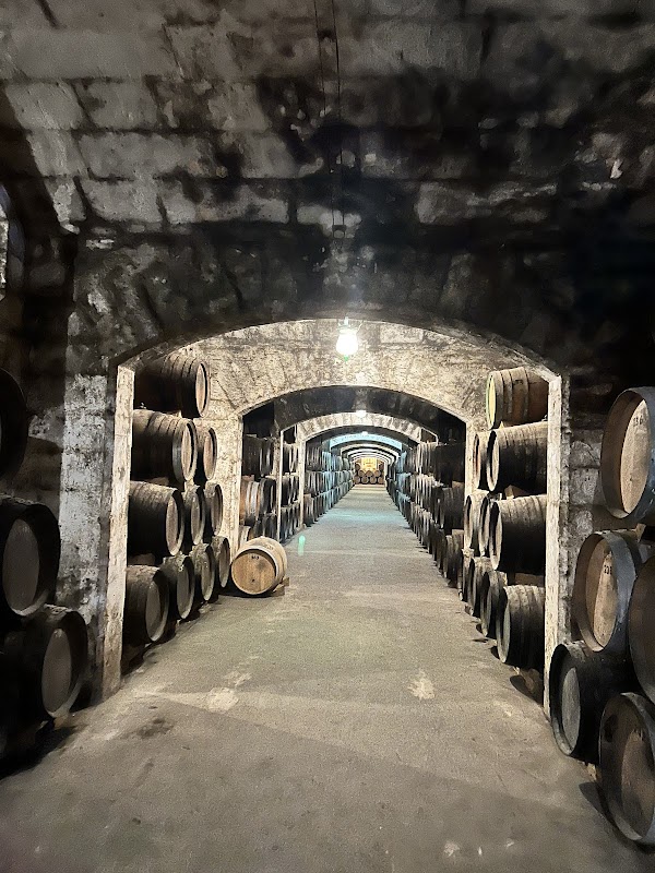 Bodegas Suau