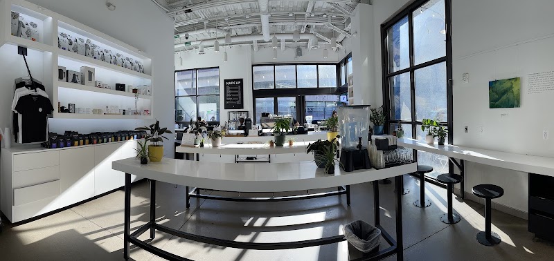 Madcap Coffee Company photo 1