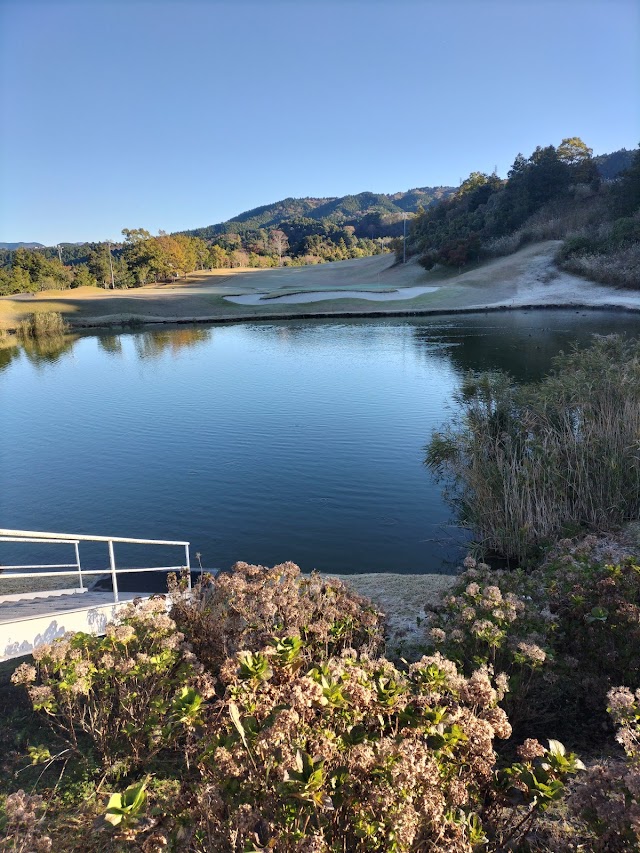 Gatsby Golf Club - Photo 9