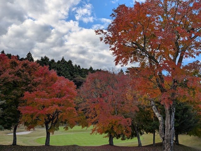 Gatsby Golf Club - Photo 10