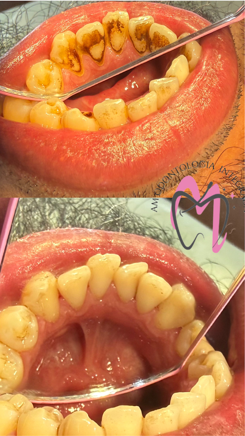 Dra. Amanda Moraes – Odontologia Integrada | Endodontia (Curitiba) - foto 5