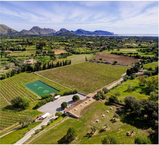 Bodegas Can Vidalet