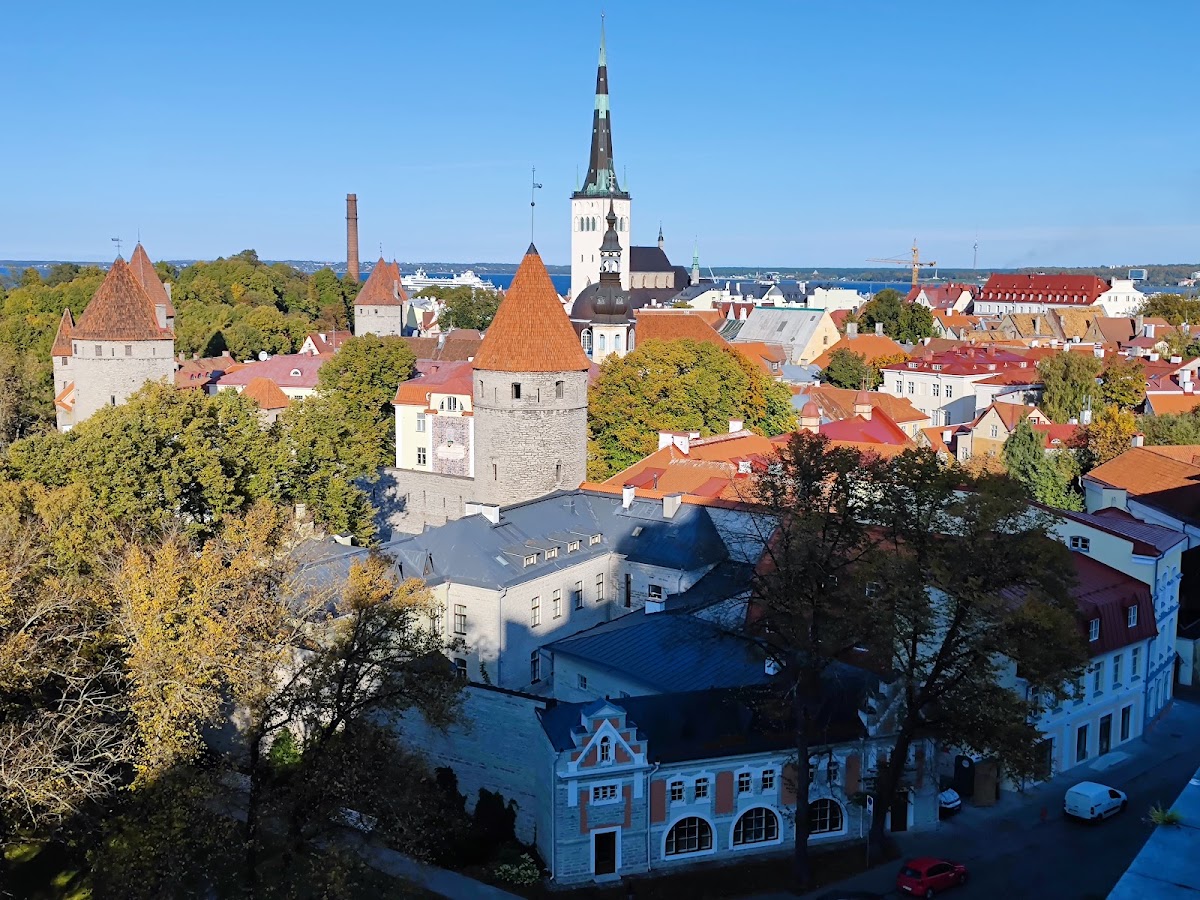 Viru väljak