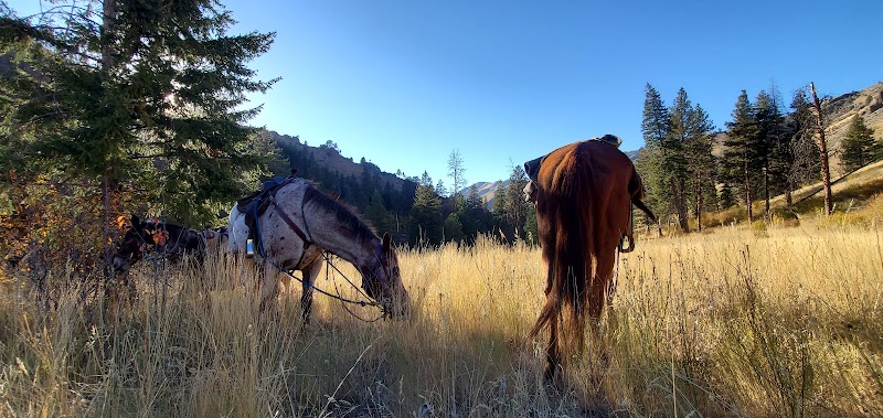 Flowing Springs Ranch / Outfitters - Photo 6