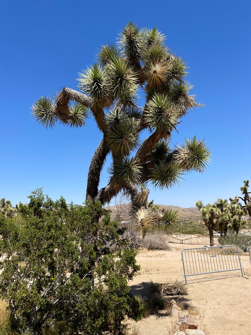 Institute of Mentalphysics aka Joshua Tree Retreat Center photo 2