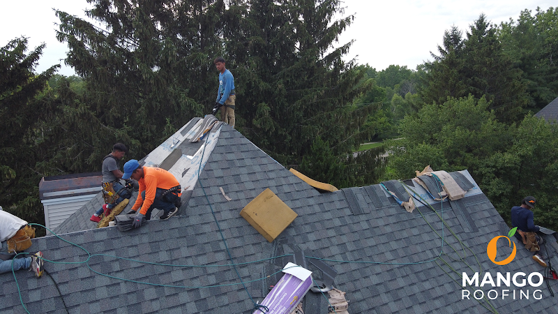 Mango Roofing & Exteriors photo 3