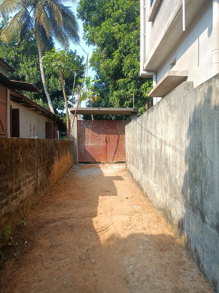 MILAN KUTIR Google photo 1