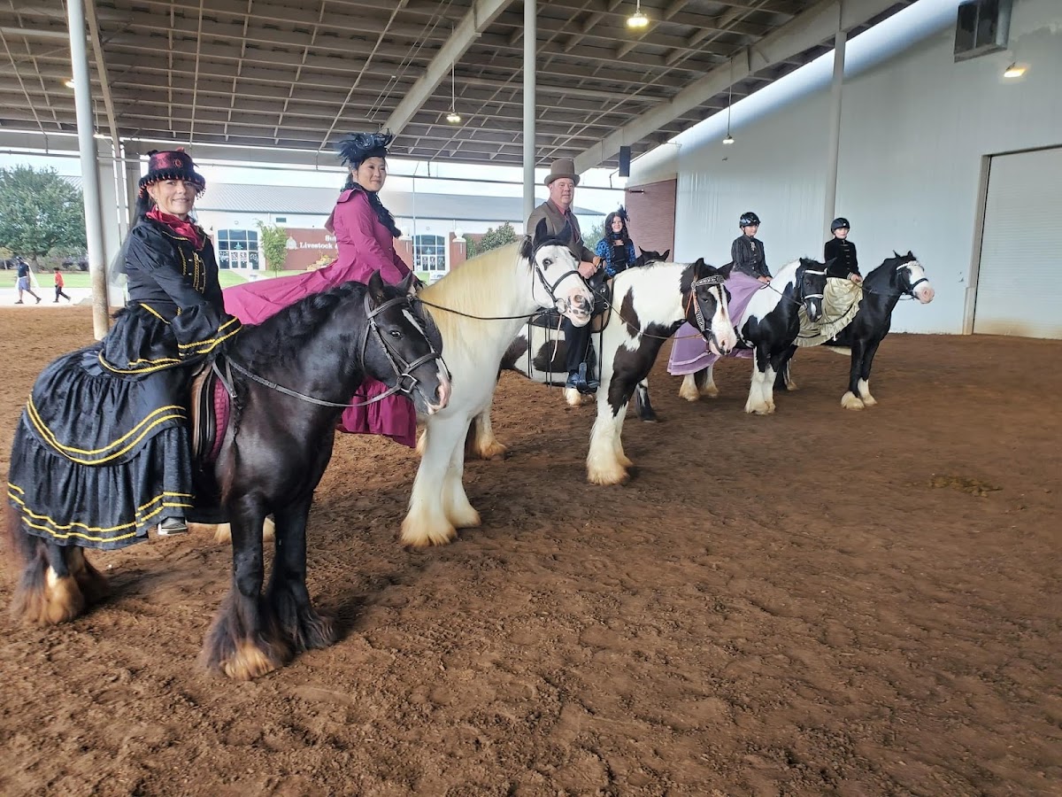 Bluewater Horse Ranch LLC