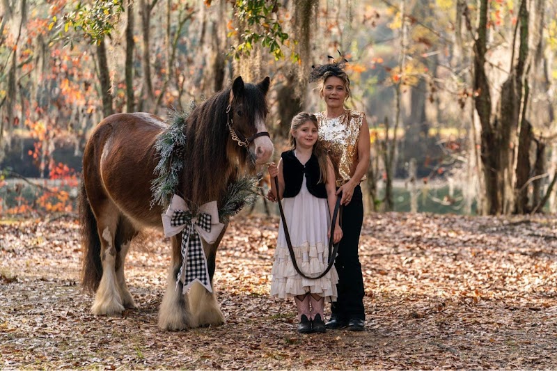 Bluewater Horse Ranch LLC - Photo 2