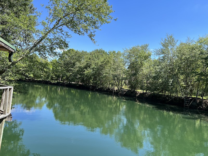 Bluewater Horse Ranch LLC - Photo 3