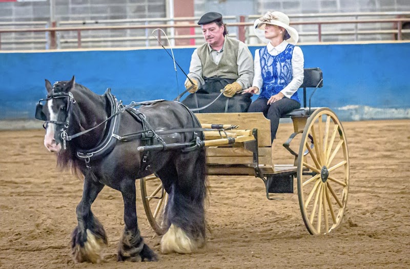 Bluewater Horse Ranch LLC - Photo 4
