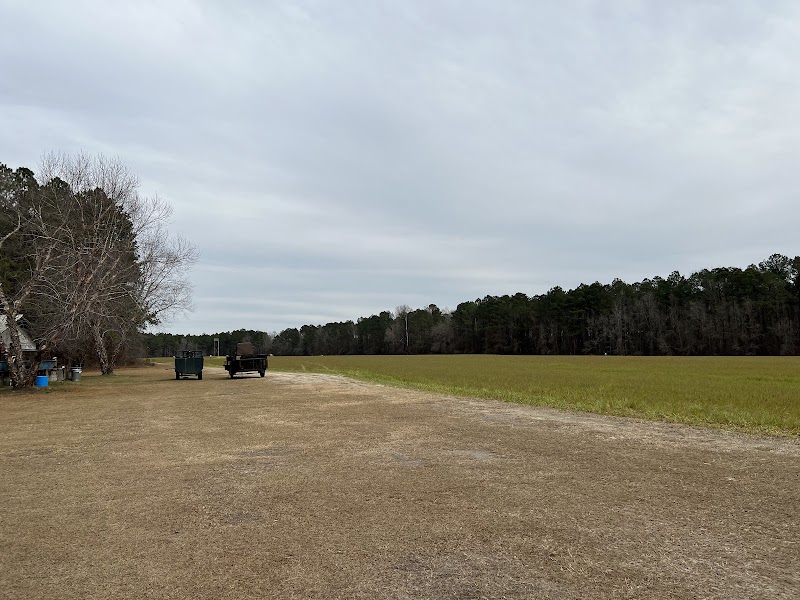 Mc Cranie Quail Plantation - Photo 3