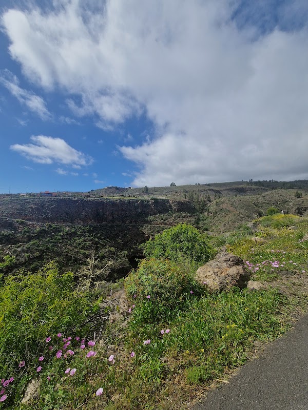 Off-Road Adventures in Callao Salvaje