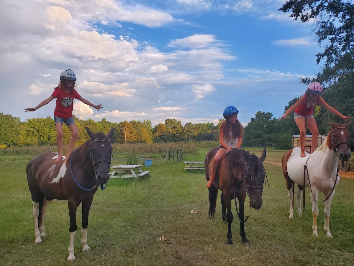 Rockin' K Ranch