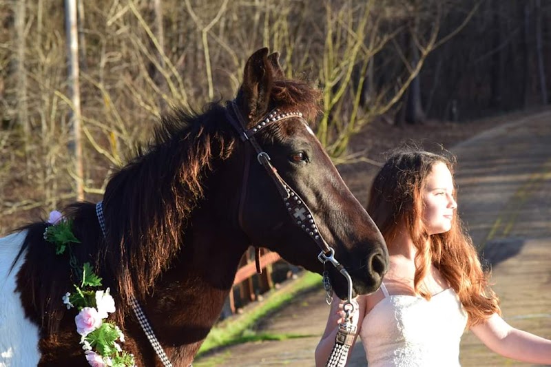 Rockin' K Ranch - Photo 2