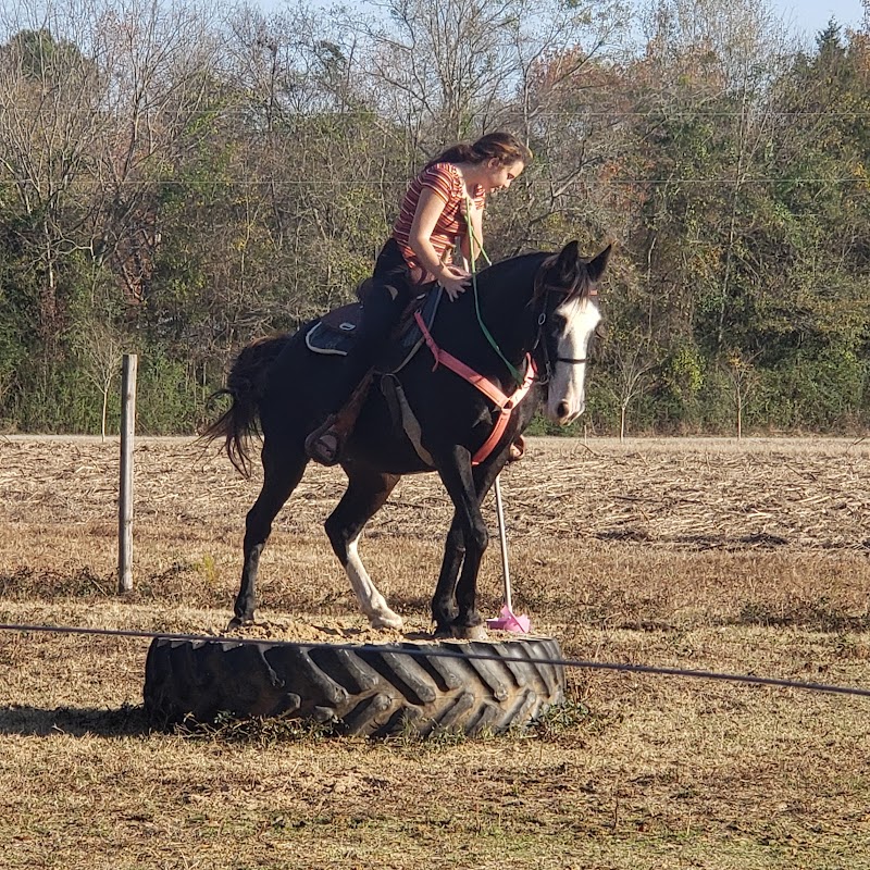 Rockin' K Ranch - Photo 3