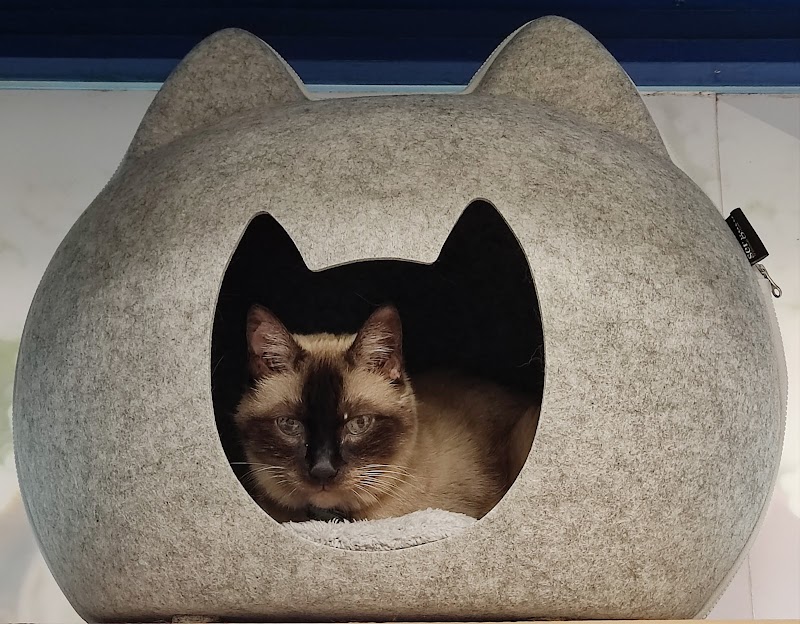 Clinica Veterinaria Bilbo Zoo