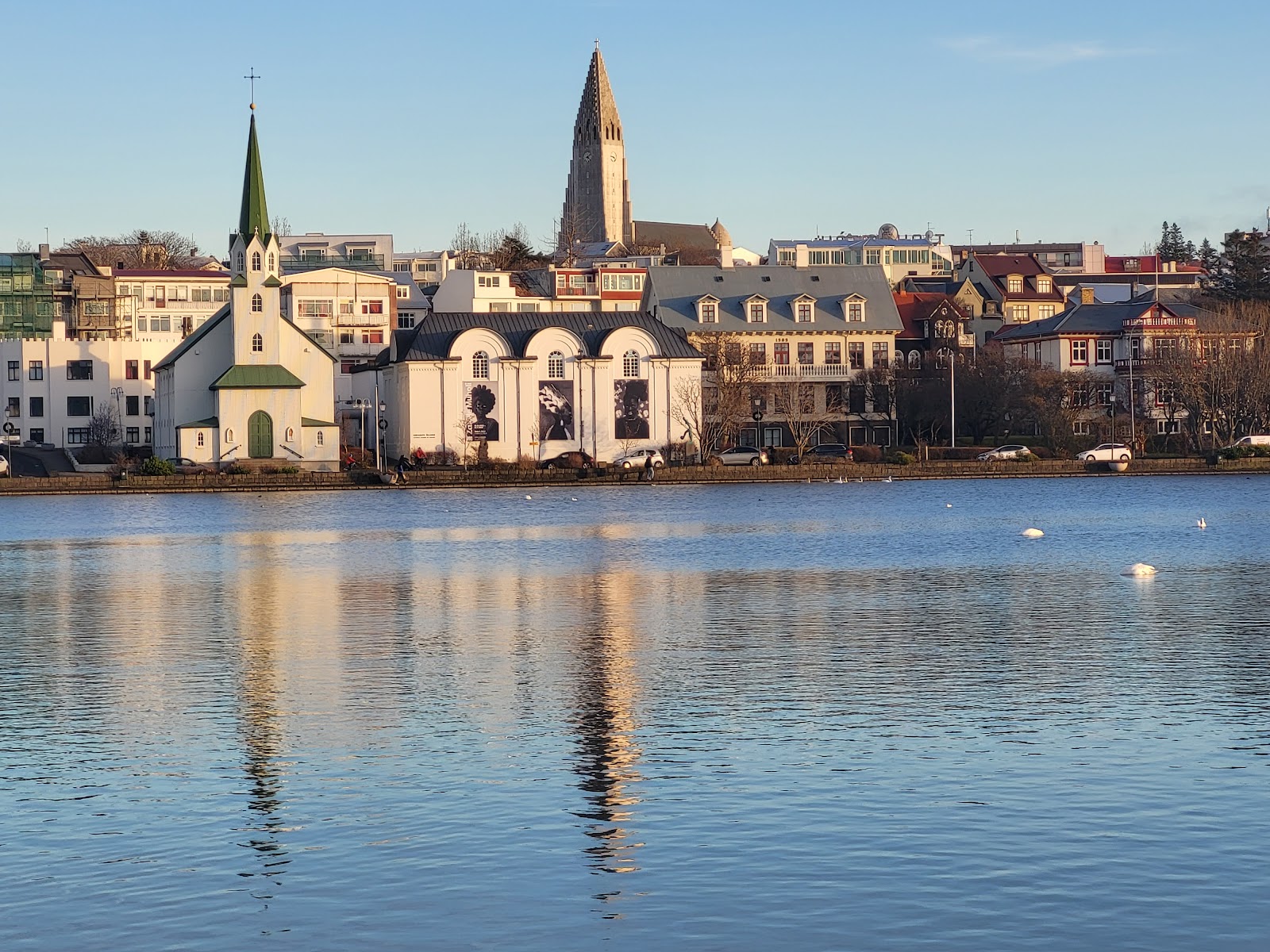 Best Dog-Friendly Hotels in Reykjavik, Iceland