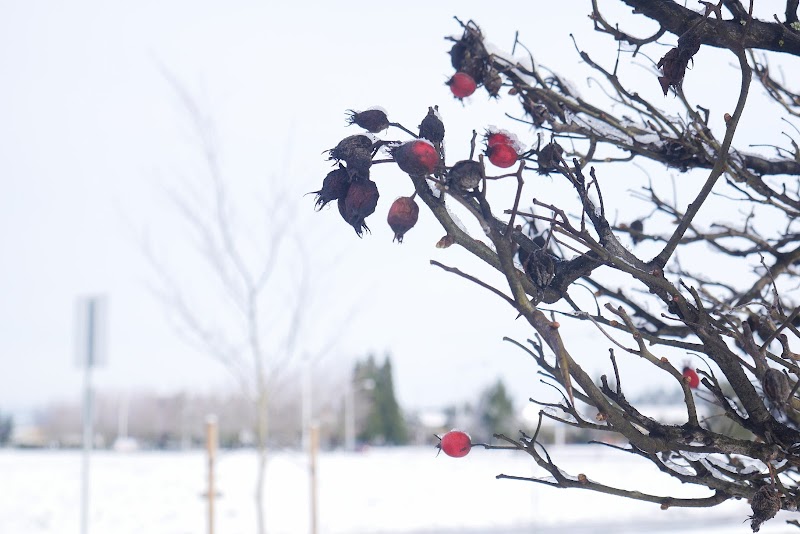 Fairgrounds Sports Complex