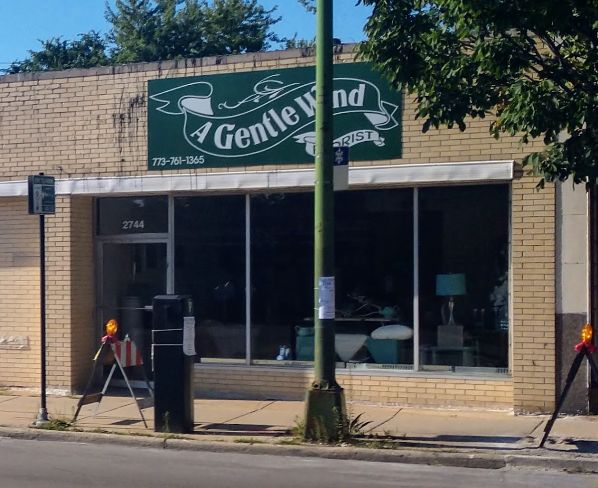 A Gentle Wind: Google Places image 1