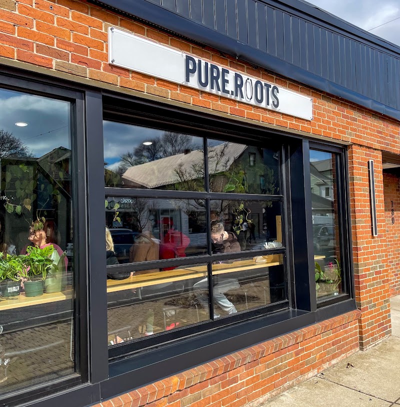 pure.roots Cafe & Plant Shop photo 1