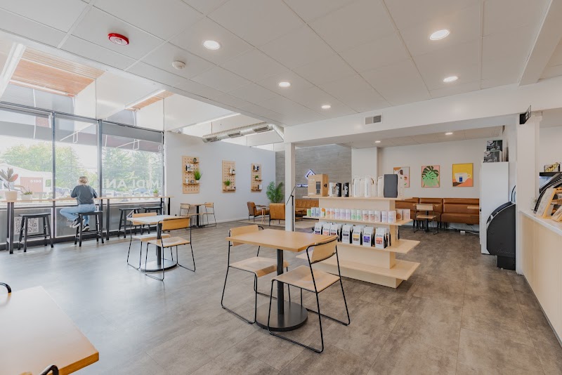 Creation Coffee photo 1