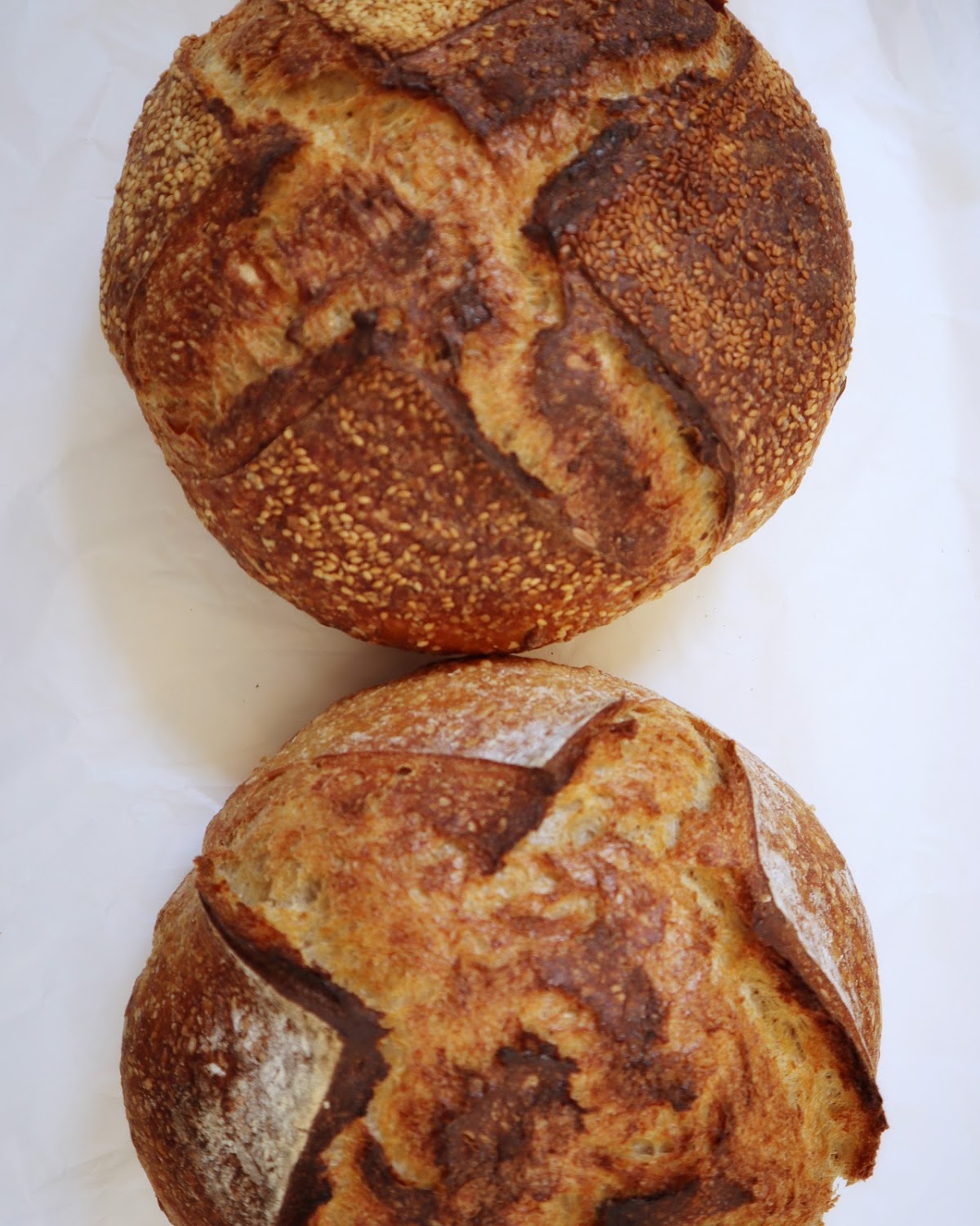Figtree Bakehouse — photo 2