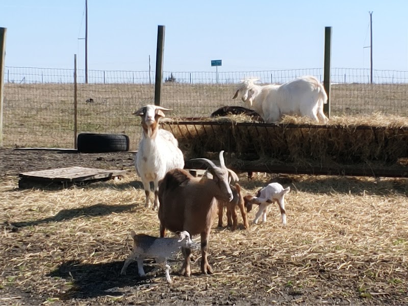 Michaud Ranch, LLC. - Photo 4