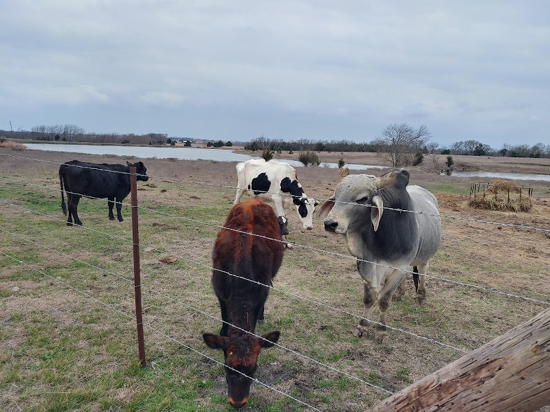 Michaud Ranch, LLC. - Photo 1