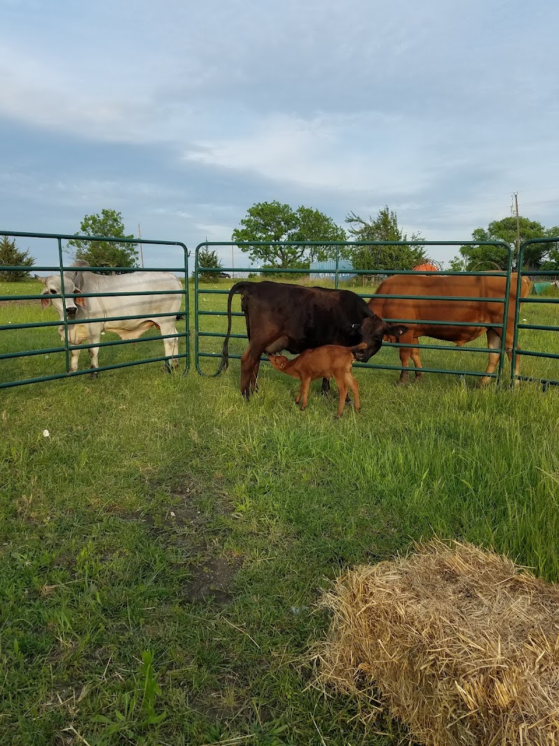 Michaud Ranch, LLC. - Photo 2