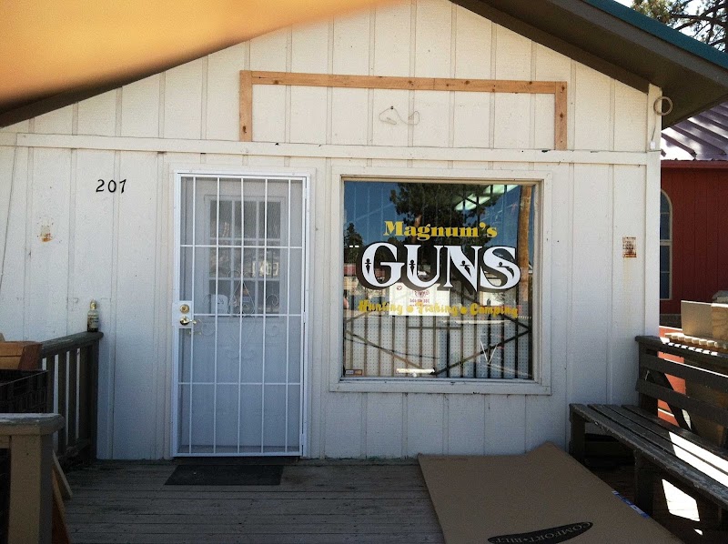 Magnum's Guns II photo