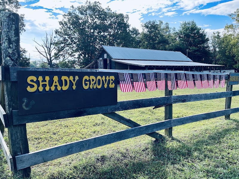 Shady Grove horse ranch - Photo 4