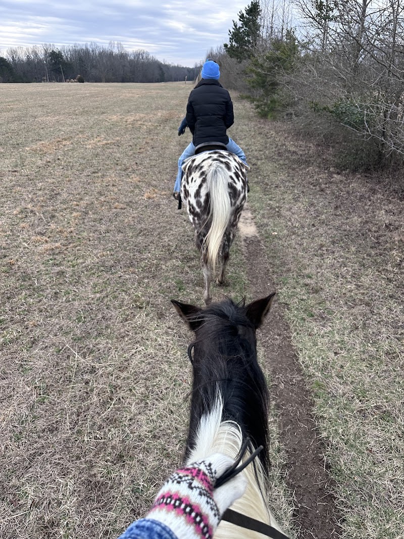 Shady Grove horse ranch - Photo 3