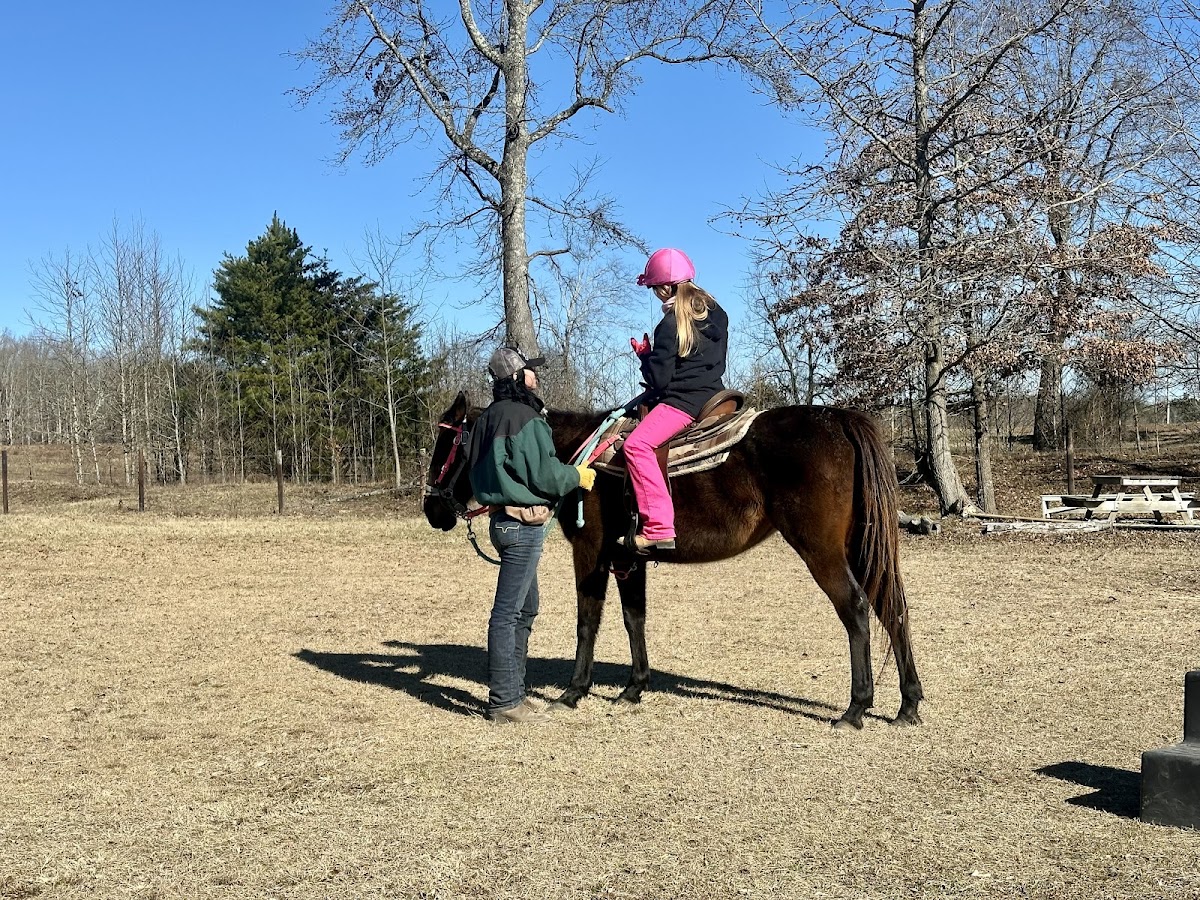 Shady Grove horse ranch