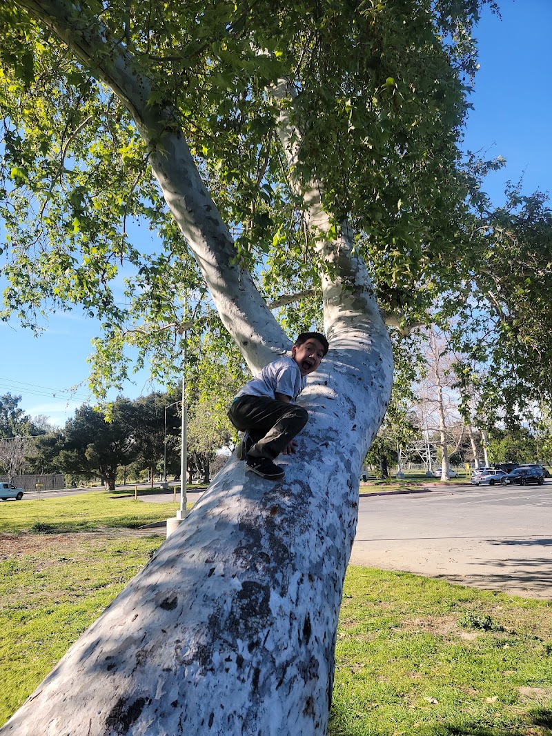 Whittier Narrows Disc Golf photo 5
