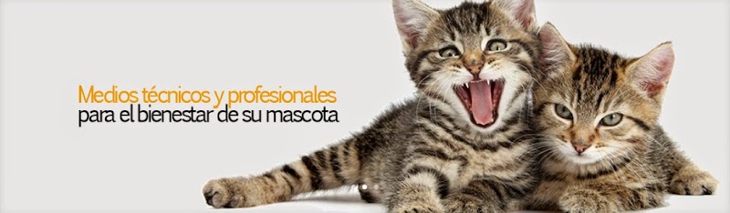 Clínica Veterinaria Sant Antoni