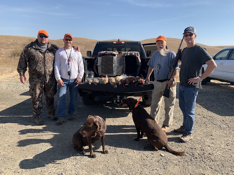 Quail Point Hunt Club - Photo 4