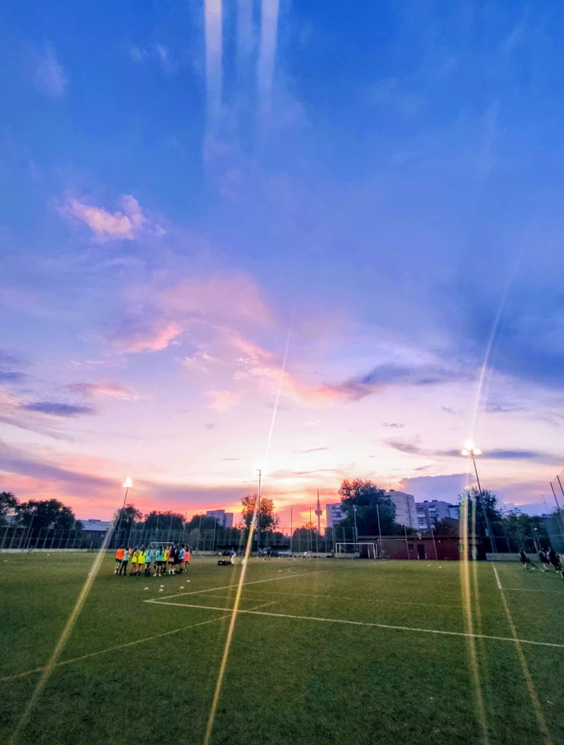 Escuela Municipal de Fútbol Idb Torrespaña Gestionada Por el Club Deportivo Escuela Breogán