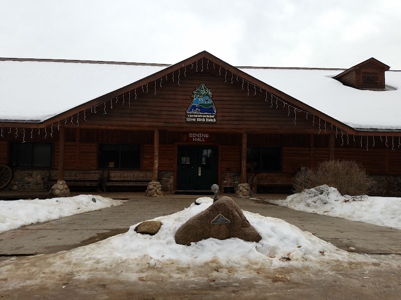 Silver Birch Ranch - Photo 6
