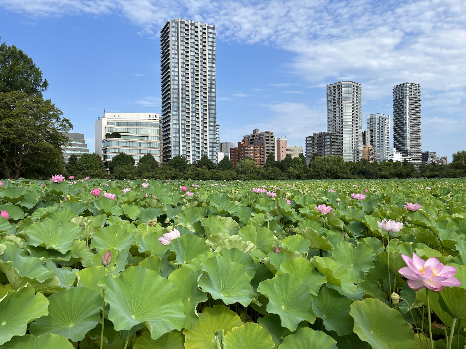Ueno Park