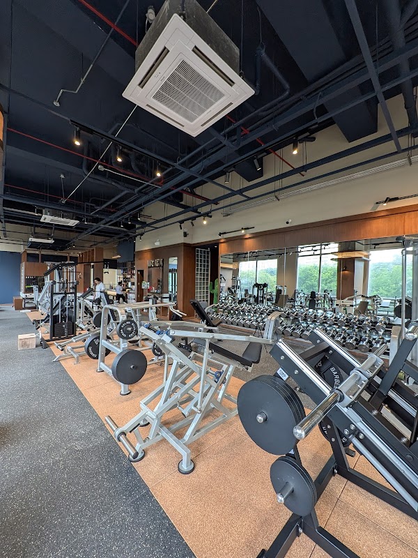 Bar Set Training Club