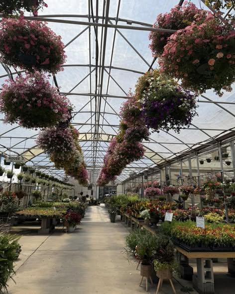 Gallrein Farms photo 4