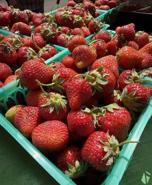 Gallrein Farms photo 3