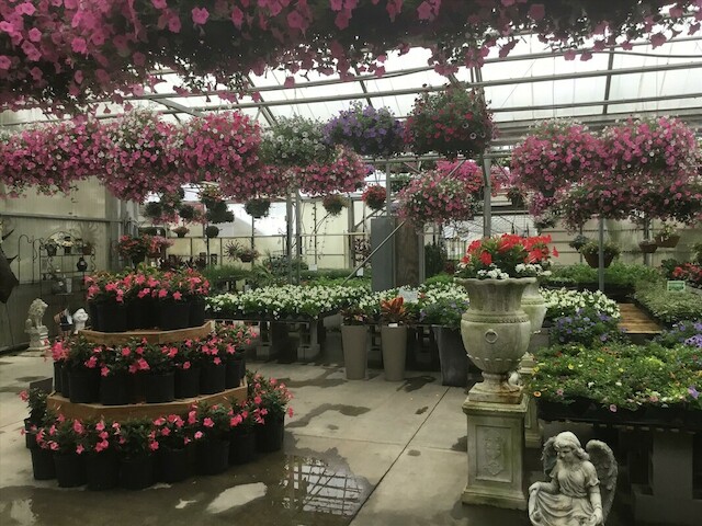 Gallrein Farms photo 1