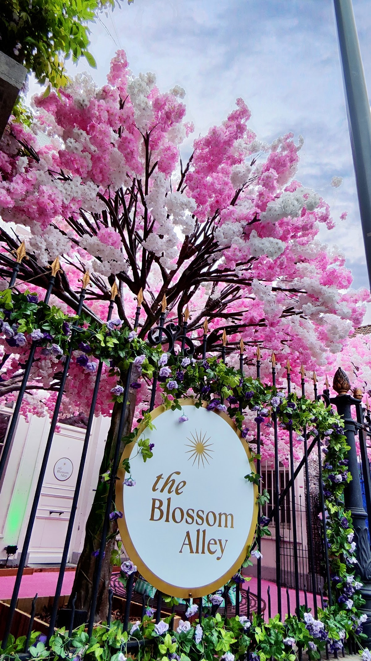 Blossom Alley Hasselt