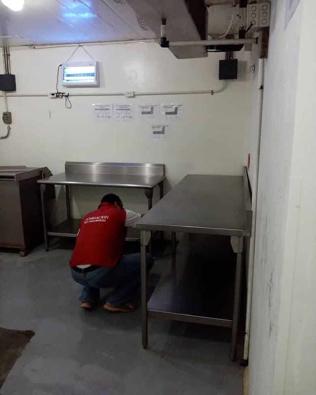 Foto Fumiking Express 2