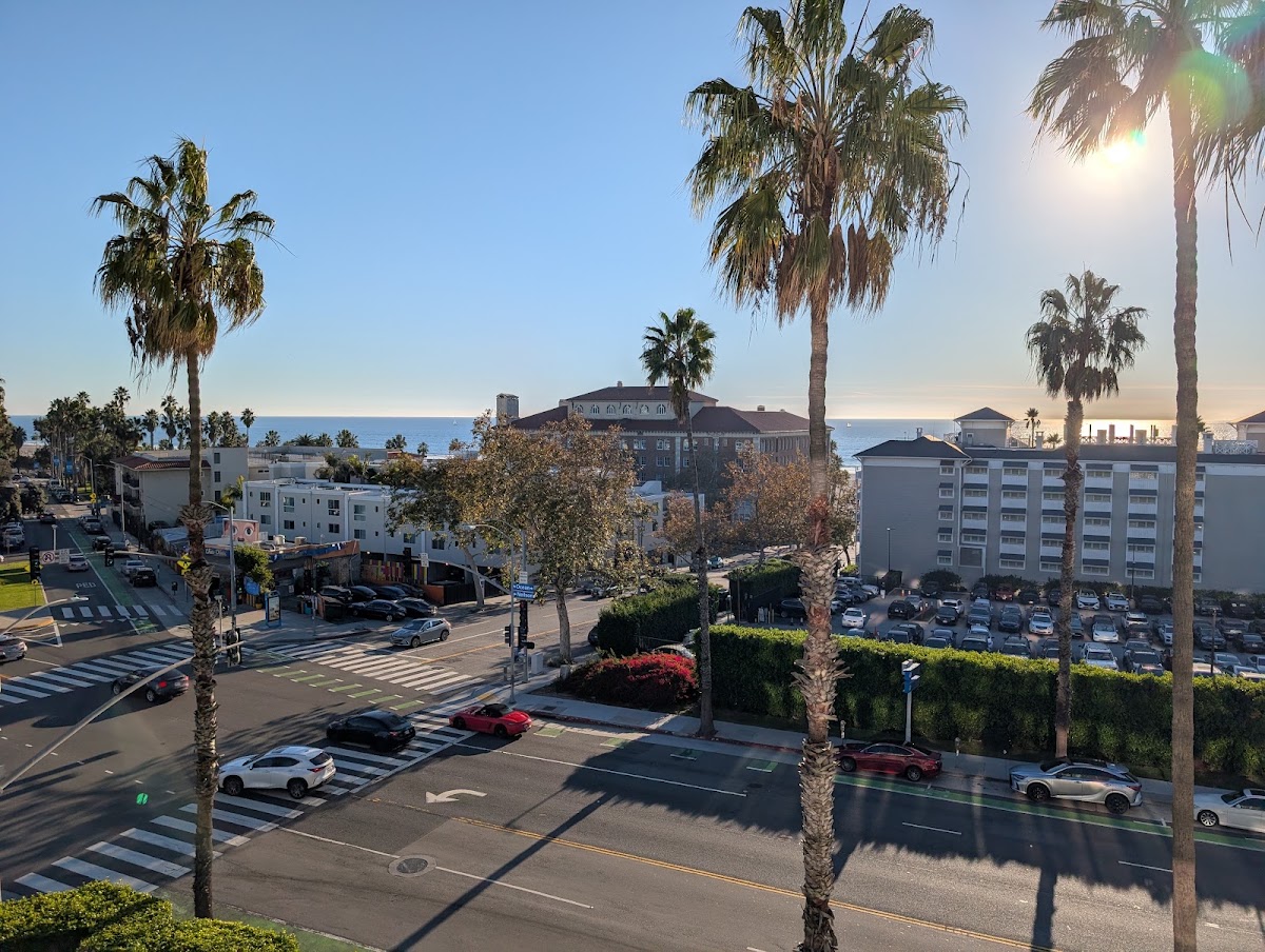 Viceroy Santa Monica, dog-friendly hotel, photo 4